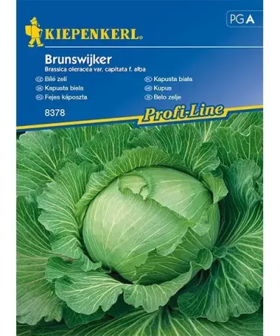 Biela kapusta 'Brunswijker'