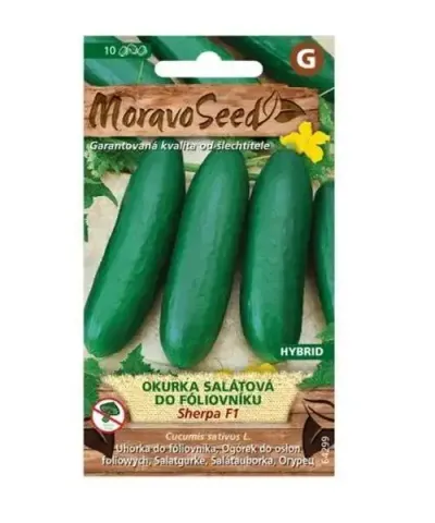 Okurka salátová SHERPA F1 - hybrid, do fóliovníku