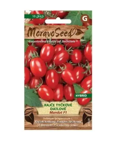 Pomidor MANDAT, typ daktylowy, hybryda