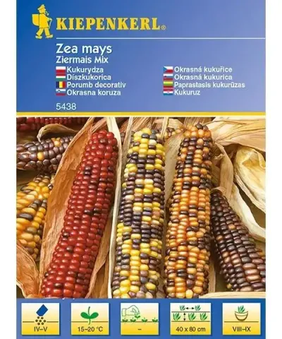 Díszkukorica Ziermais