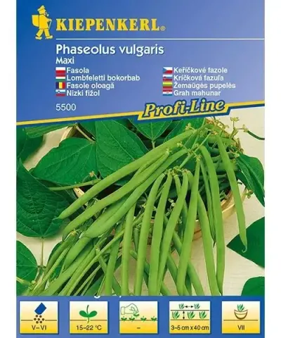 Zöldbab Maxi
