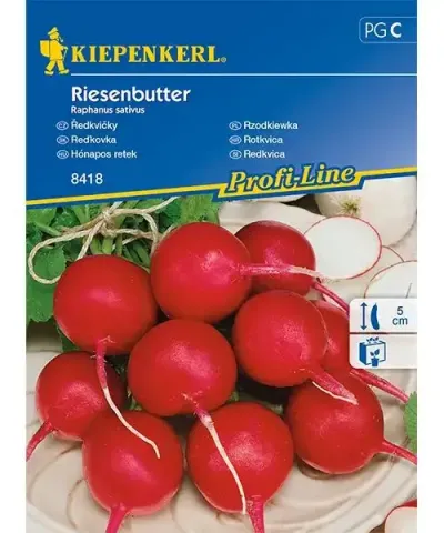 Reďkovka siata 'Riesenbutter'