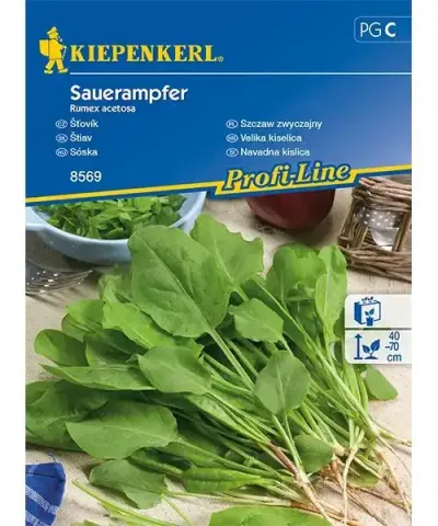 Mezei sóska