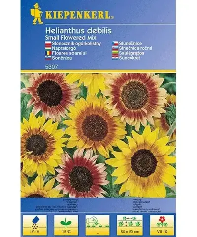 Napraforgó 'Small Flowered Mix'