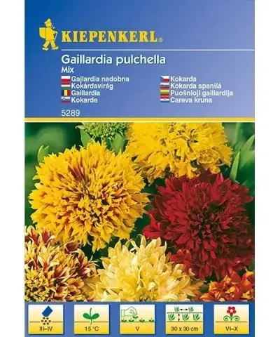 Kokárdavirág színkeverék