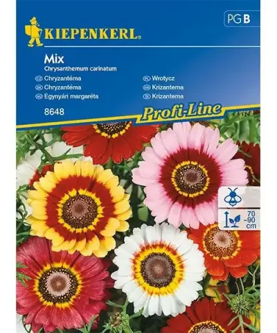 Egynyári margaréta Egynyári margaréta