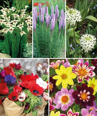 Včelí směs v zeleném jutovém sáčku Včelí směs v zeleném jutovém sáčku