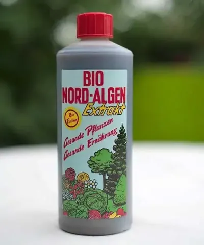 Bio Nord-Algen Extrakt