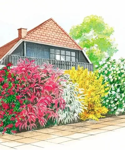 Die bunte Blütenhecke