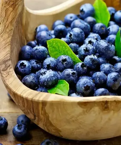 Hortblue Petite áfonya