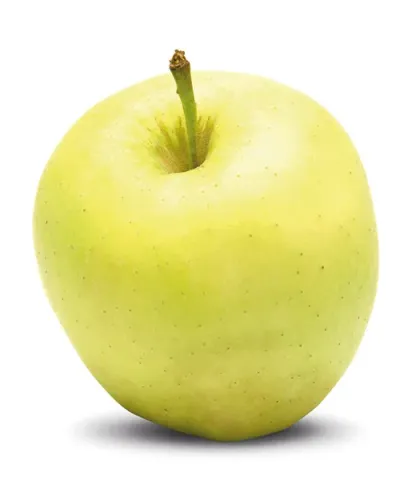 Apfel 'Weißer Klarapfel' Halbstamm