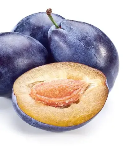 Oszlopos szilva 'Pruntop'