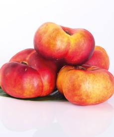 DIE NEKTARINE HARCO GROßE FRÜCHTE FROSTRESISTENT N005 Dünger Gratis DIE NEKTARINE HARCO GROßE FRÜCHTE FROSTRESISTENT N005 Dünger Gratis